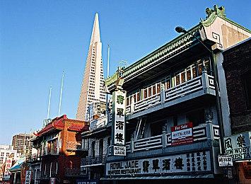 恐怖游戏《翌日 -波奇狗的历险记-》Steam页面上线 支持简中