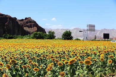 《全面战争：战锤3》纳垢VS色孽宣传片 2月17日正式发售